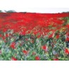 Prado rojo
